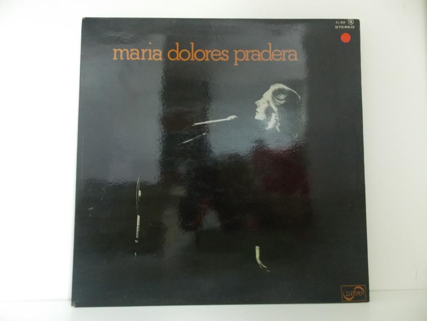 articulosg_imagen1_1243.jpg DISCO DE VINILO