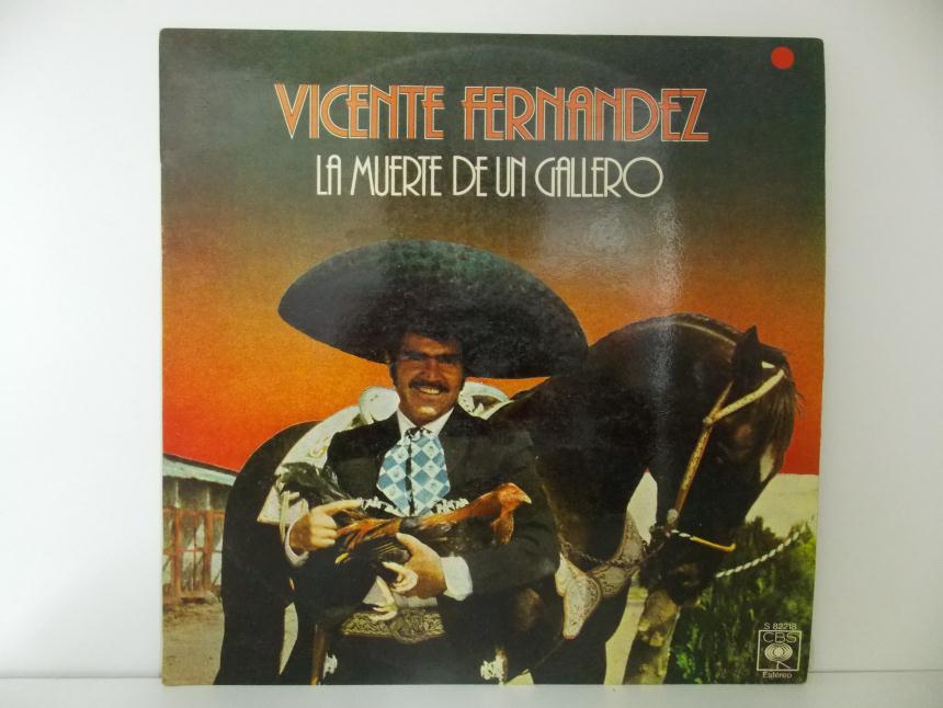 articulosg_imagen1_1319.jpg DISCO DE VINILO