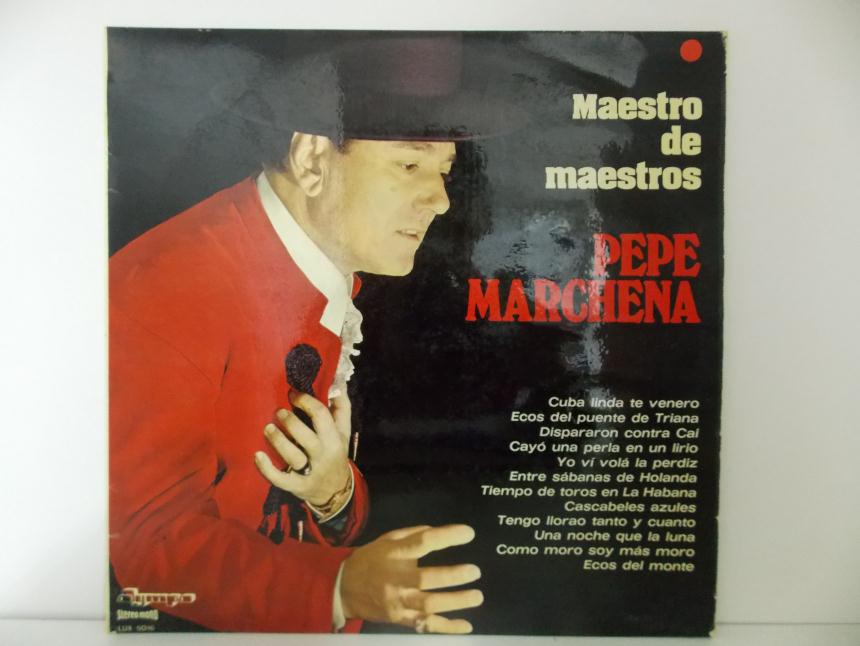 articulosg_imagen1_1320.jpg DISCO DE VINILO