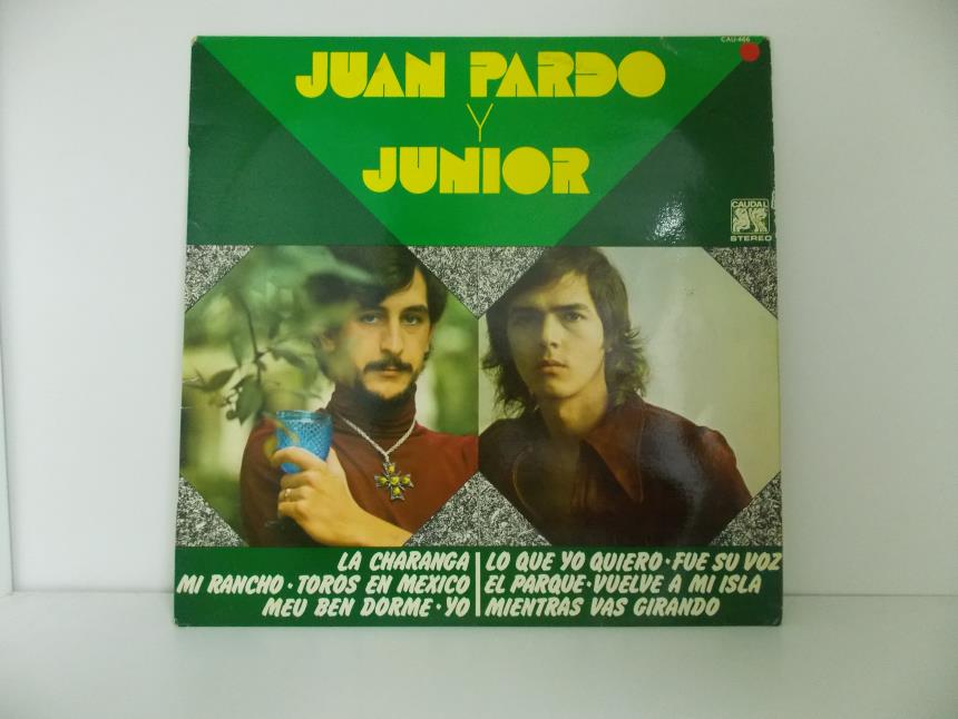 articulosg_imagen1_1334.jpg DISCO DE VINILO