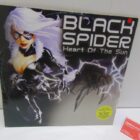 DISCO DE VINILO