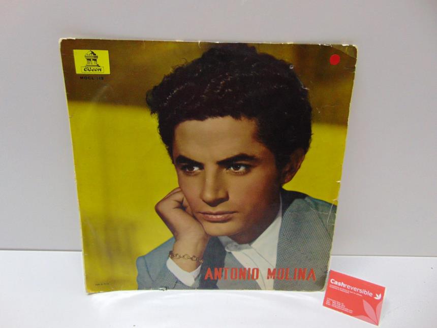 articulosg_imagen1_2929.jpg DISCO DE VINILO
