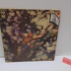 DISCO DE VINILO