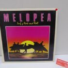 DISCO DE VINILO