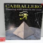 DISCO DE VINILO