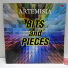 DISCO DE VINILO