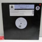 DISCO DE VINILO