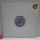 DISCO DE VINILO