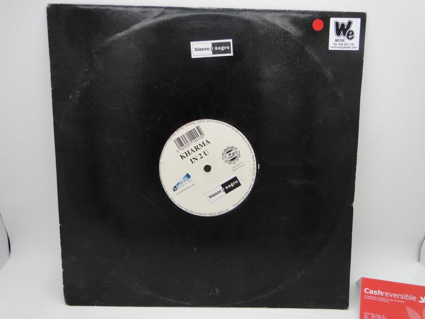 articulosg_imagen1_3373.jpg DISCO DE VINILO