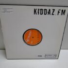 DISCO DE VINILO