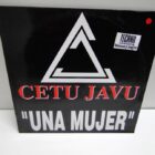 DISCO DE VINILO