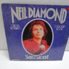 DISCO DE VINILO