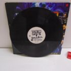 DISCO DE VINILO