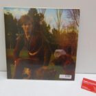 DISCO DE VINILO