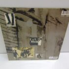 DISCO DE VINILO