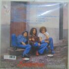 DISCO DE VINILO