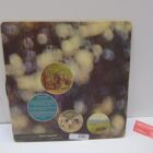 DISCO DE VINILO