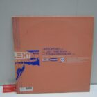 DISCO DE VINILO