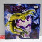 DISCO DE VINILO
