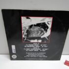 DISCO DE VINILO