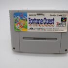 JUEGO SUPER FAMICOM JAPON