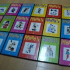 DVD RANMA 1/2