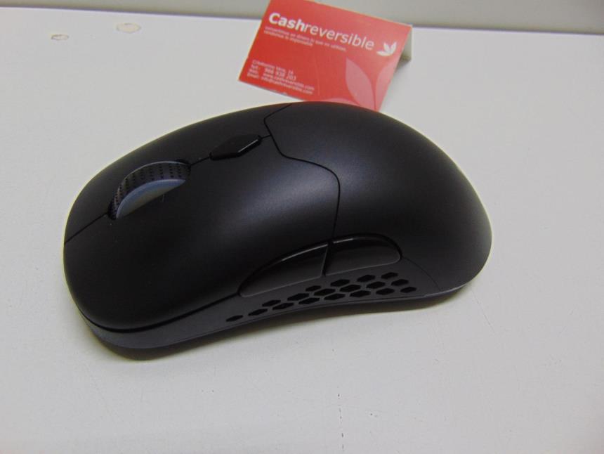 RATON GAMING