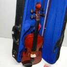 VIOLIN CON MALETA