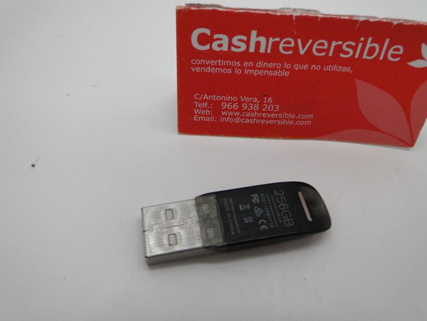 PENDRIVE 256GB