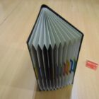 CARPETA ORGANIZADORA A ESTRENAR