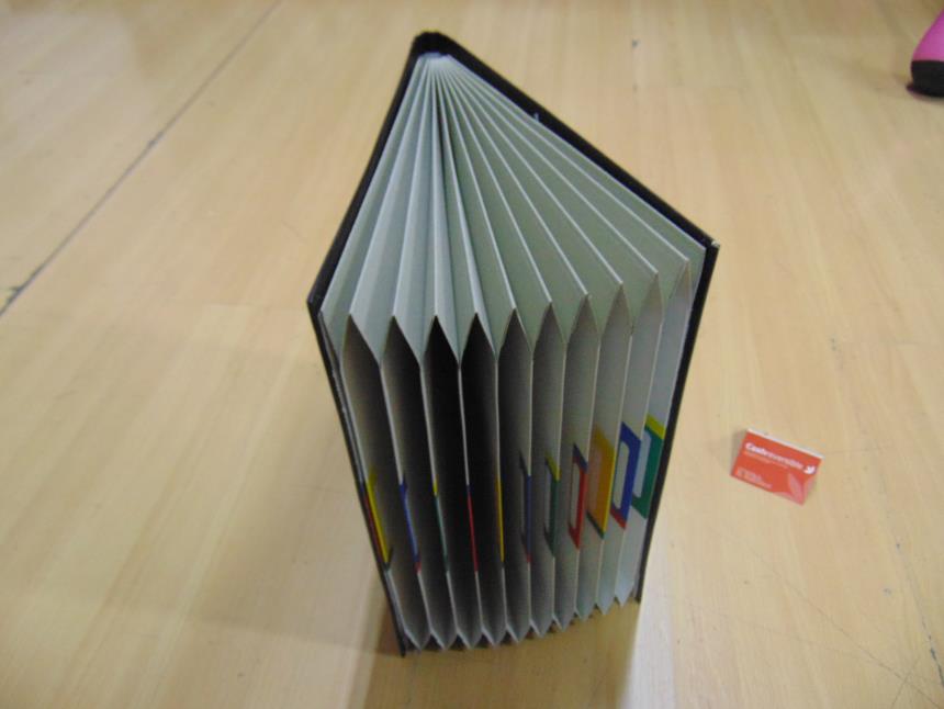 CARPETA ORGANIZADORA A ESTRENAR