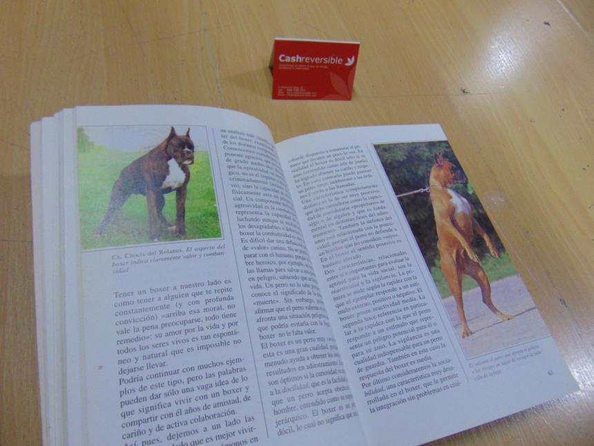 LIBRO