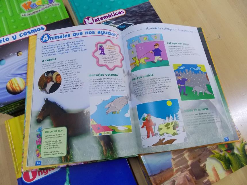 PACK DE 24 LIBROS + 24 DVD (PLANETA)