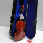 VIOLIN CON MALETA