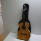 GUITARRA CON FUNDA ACOLCHADA
