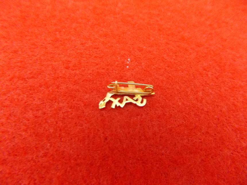 PIN DE ORO DE 18K