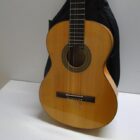 GUITARRA CON FUNDA ACOLCHADA