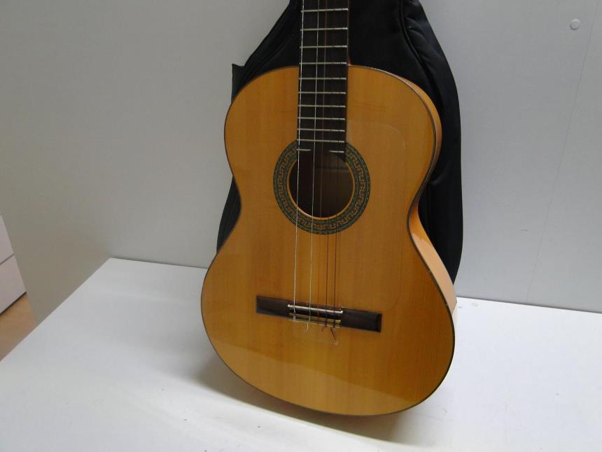 GUITARRA CON FUNDA ACOLCHADA