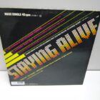DISCO DE VINILO