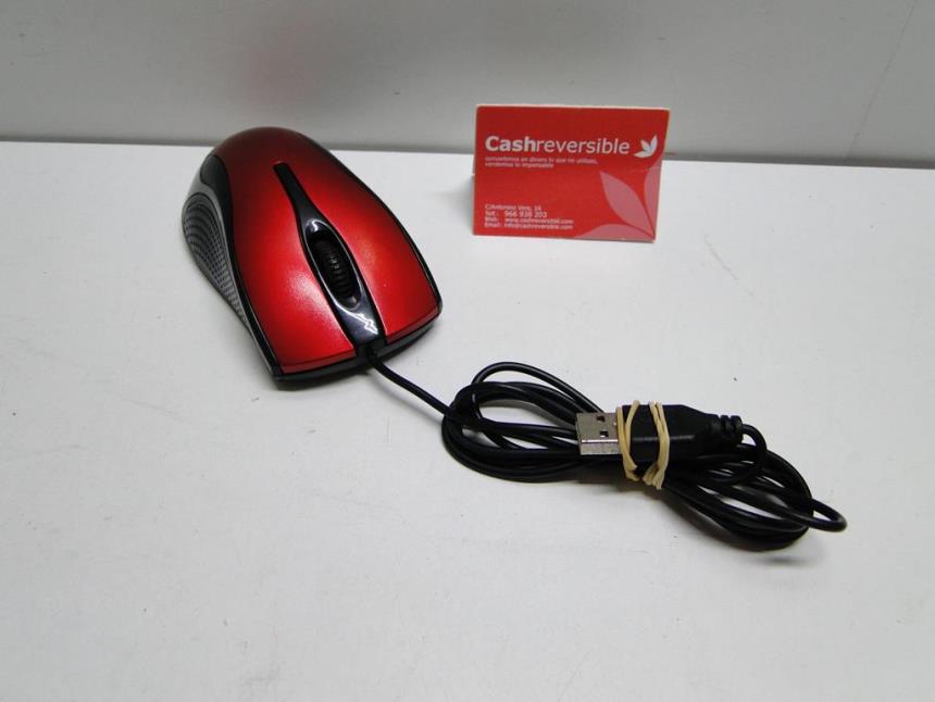 RATON USB