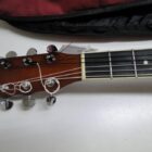 GUITARRA CON FUNDA PERFECTO ESTADO