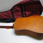 GUITARRA CON FUNDA PERFECTO ESTADO