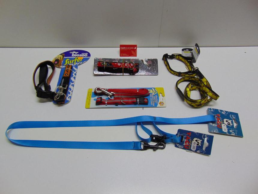 articulos_imagen1_127387.jpg CORREA + COLLAR A ESTRENAR