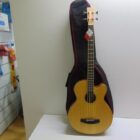 BAJO CON FUNDA SEMINUEVO