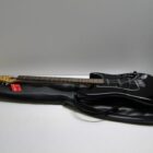 GUITARRA ELECTRICA CON FUNDA **