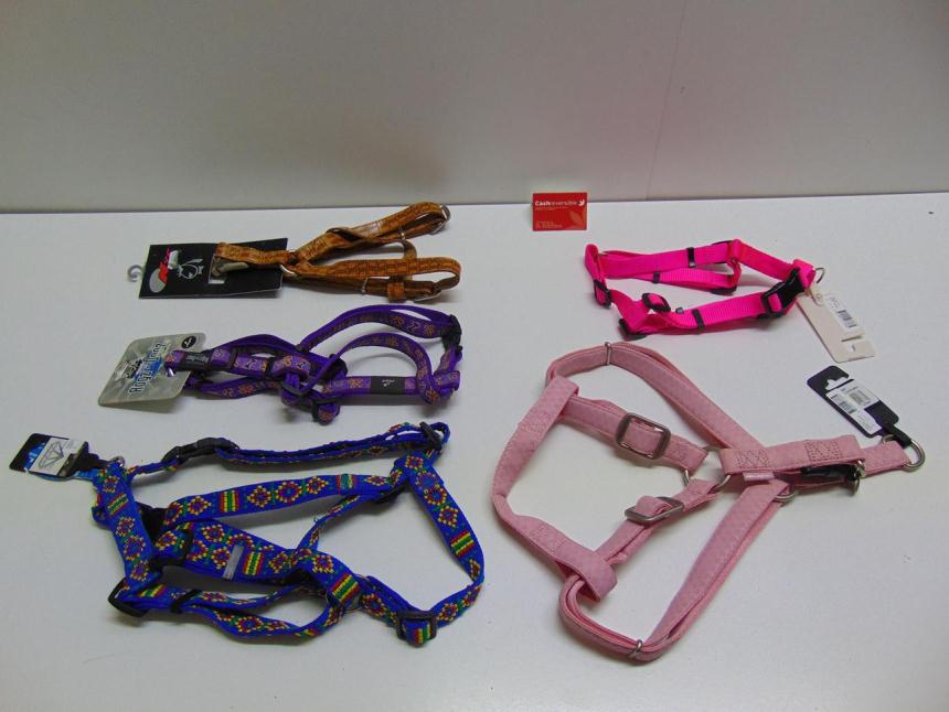 ARNES NYLON A ESTRENAR