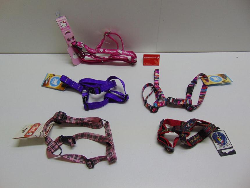 ARNES NYLON A ESTRENAR