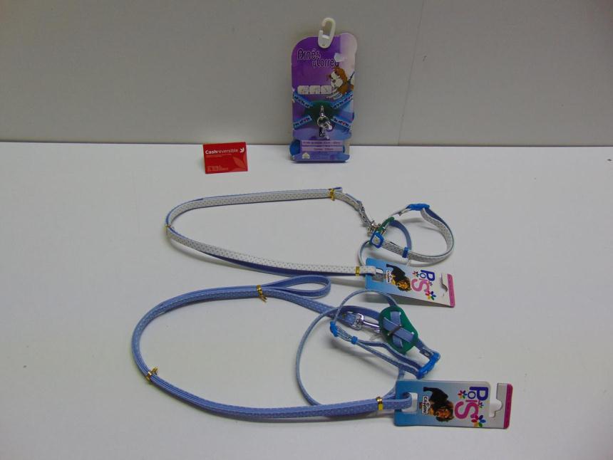 ARNES + CORREA A ESTRENAR