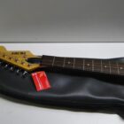 GUITARRA ELECTRICA CON FUNDA **