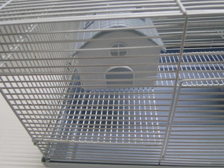 JAULA CON ACCESORIOS